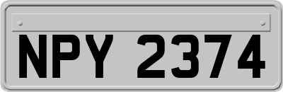 NPY2374