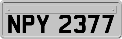 NPY2377