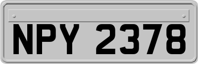 NPY2378