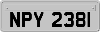 NPY2381