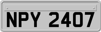 NPY2407