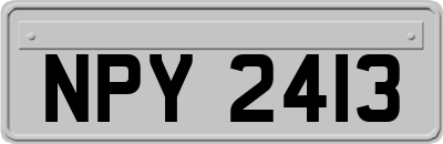 NPY2413