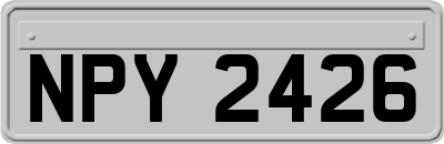 NPY2426