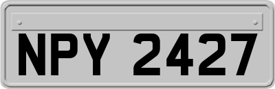 NPY2427