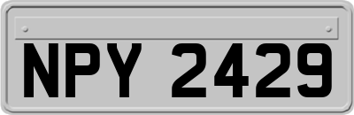 NPY2429