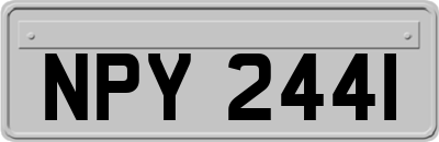 NPY2441