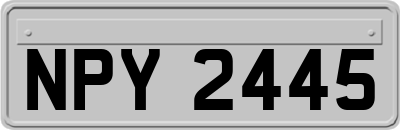 NPY2445