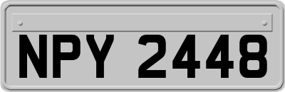 NPY2448