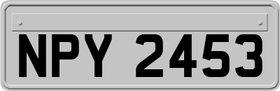 NPY2453