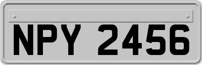 NPY2456