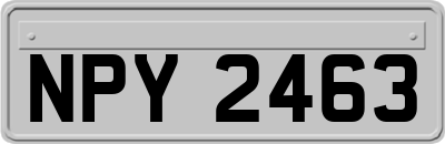 NPY2463