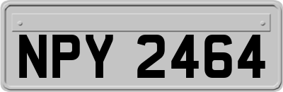 NPY2464