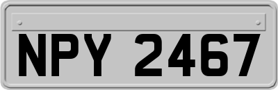 NPY2467