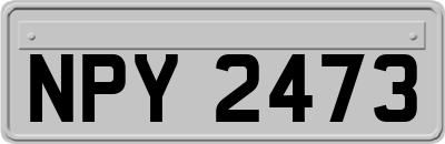 NPY2473