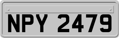 NPY2479