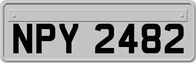 NPY2482
