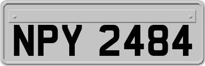 NPY2484