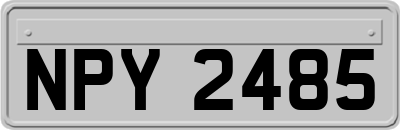NPY2485