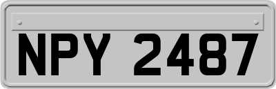 NPY2487