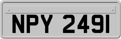 NPY2491