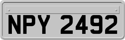 NPY2492