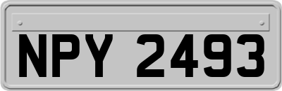 NPY2493