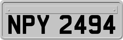NPY2494