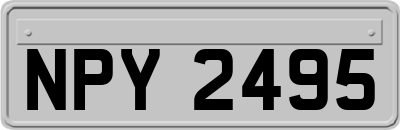 NPY2495