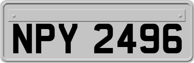 NPY2496