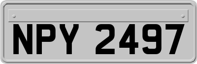 NPY2497