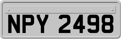 NPY2498