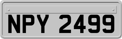 NPY2499