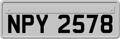 NPY2578