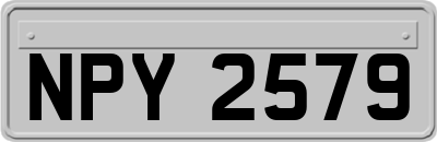 NPY2579