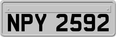NPY2592