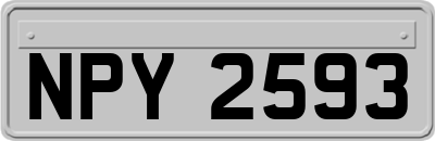 NPY2593
