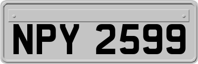 NPY2599