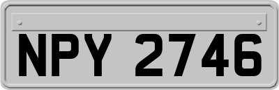 NPY2746