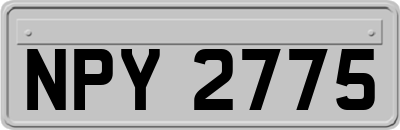 NPY2775