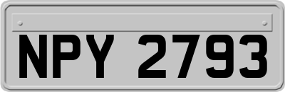 NPY2793