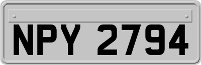 NPY2794