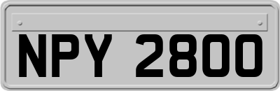 NPY2800
