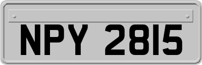 NPY2815