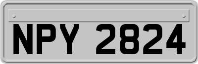 NPY2824