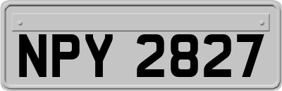NPY2827