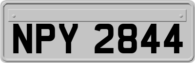 NPY2844