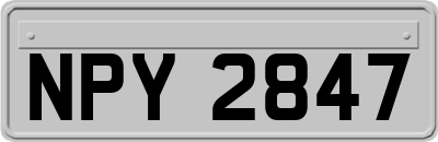 NPY2847