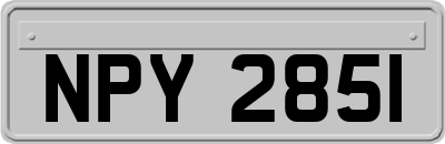 NPY2851