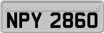 NPY2860