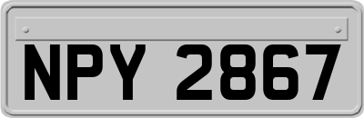 NPY2867